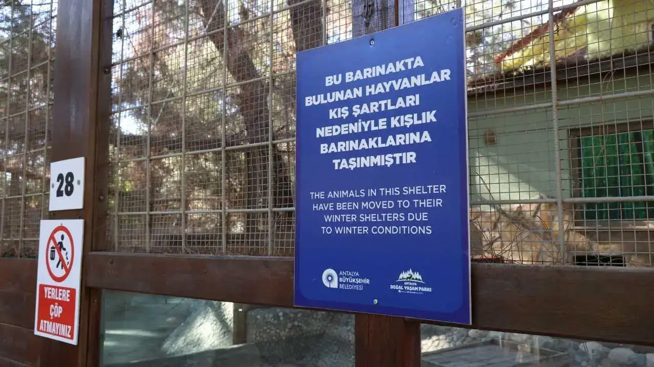 Antalya'da Lemurlar Sıcakta, Bukalemunlar Işıkta 4